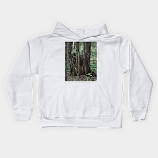 Stump In The Forest Kids Hoodie